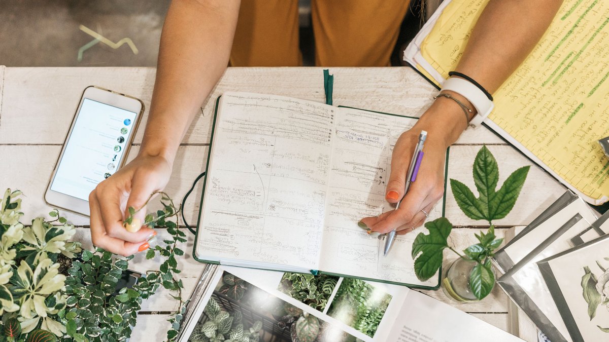 Hilfe zur Selbsthilfe in der Pflanzenpflege